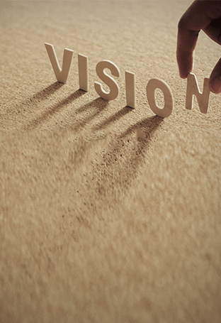 vision