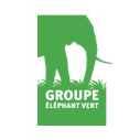 Eléphant vert